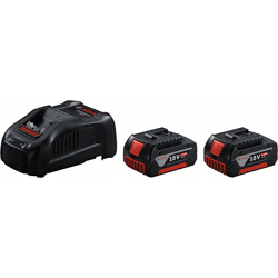 Akku Starter-Set: 2 x GBA 18 Volt 5.0 Ah und GAL 1880