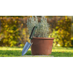 Garten Pflanzkelle ST