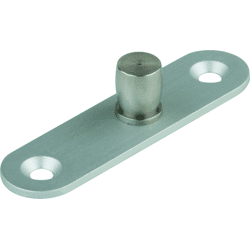 Dorma-Glas DORMA PT 24,  Zapfen mit Anschraubplatte,  3mm,  LM silber EV1