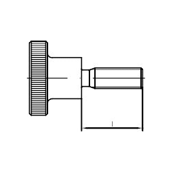 DIN- und Normteile DIN 464 Form Sz Gewinde bis Kopf Edelstahl A1/A2 Rändelschrauben hohe Form