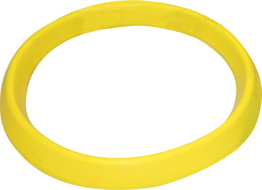 Absperr-Ring