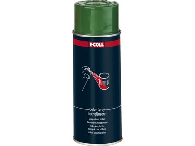 Color-Spray glänzend 400ml moosgrün E-COLL