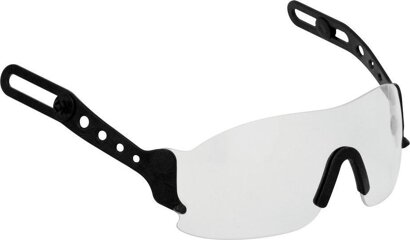 Schutzbrille EVOSpec