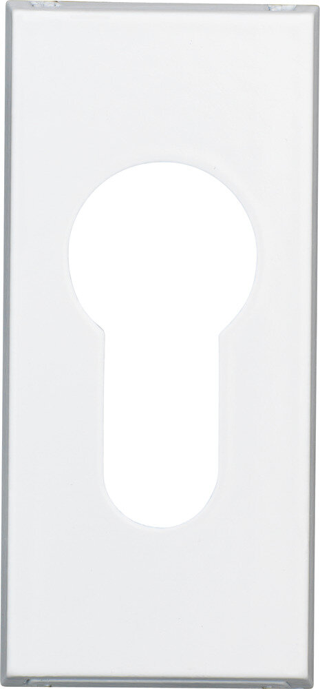 Schutz-Schiebe-Schlüsselrosette RS106, Aluminium