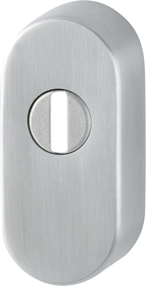 Schutz-Schlüsselrosette E55S-SR-ZA, Edelstahl