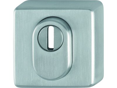 Schutz-Schlüsselrosette E52ZNSB-ZA, Edelstahl