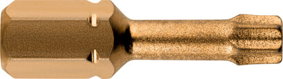 Bit Torx Diamant
