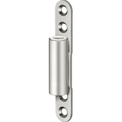 Simonswerk ZT-Rahmenteil, VARIANT® V 8000 WF ASR, 3tlg. matt