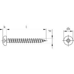 Spanplattenschraube Pan-Head 3,0 x 30 m.Innensechsrund, T10 A2 rostfrei