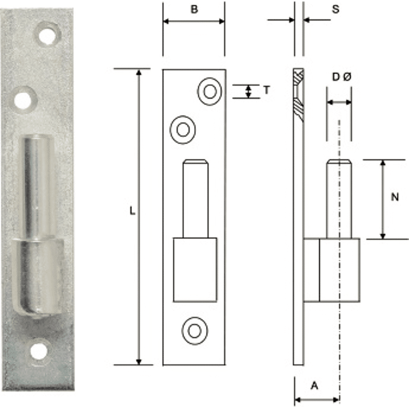Plattenkegel SONNECK 406, Niro Look, Dorn 14mm