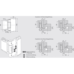 Türband Easy 3D FH, mit integriert.Stift- sicherung, eloxierte Edelstahloptik