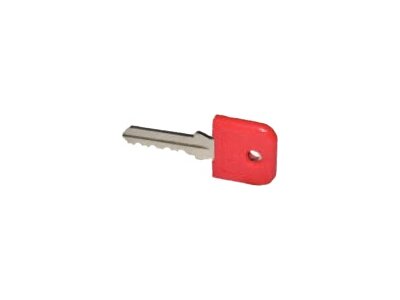 Hauptschlüssel zu Münzpfandschloss mit roter Kappe
