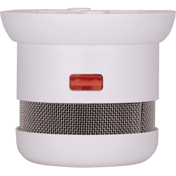 RAUCHMELDER CAVIUS 2001 - 5Y