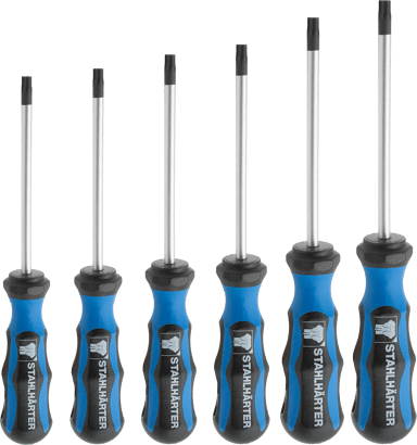 Schraubendrehersatz Torx