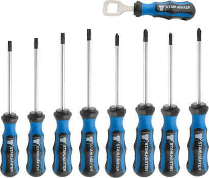 Schraubendrehersatz PH/PZ/Torx